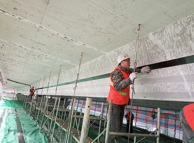 1602750213380543.jpg 5.jpg